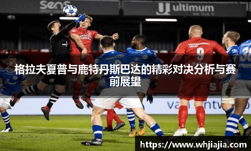 leyu.乐鱼官方网址